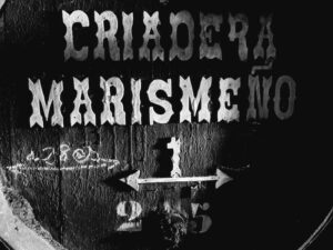 SIETE JERELES DE GONZALO GARCIA-PELAYO barrica