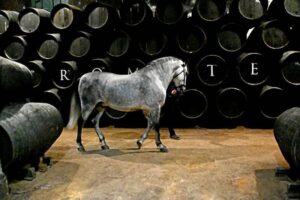 SIETE JERELES DE GONZALO GARCIA-PELAYO caballos de noche en bodegas
