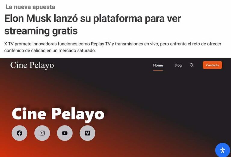 Elon Musk copia a Gonzalo García-Pelayo