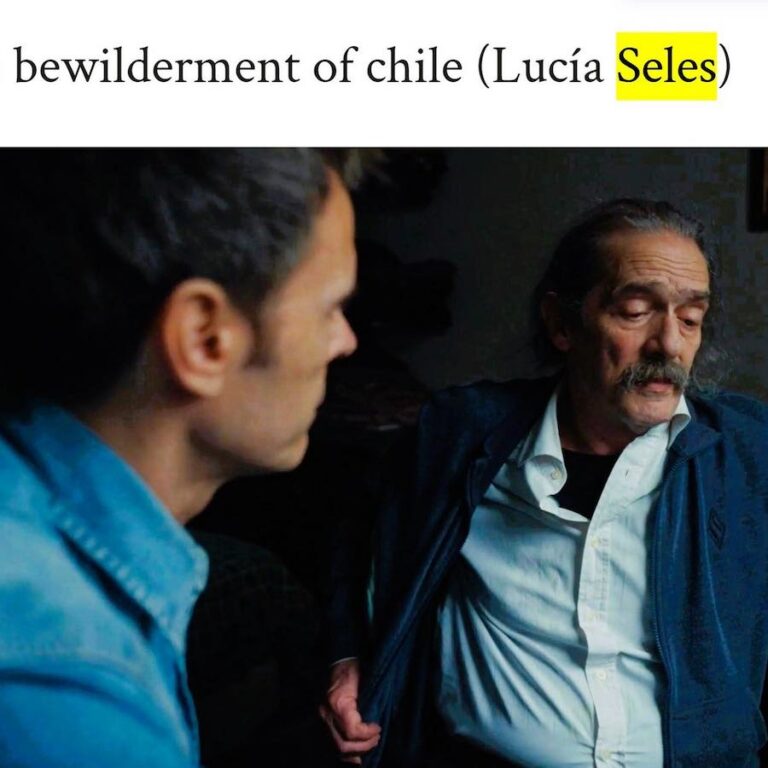 Bewilderment Of Chile De Lucía Seles
